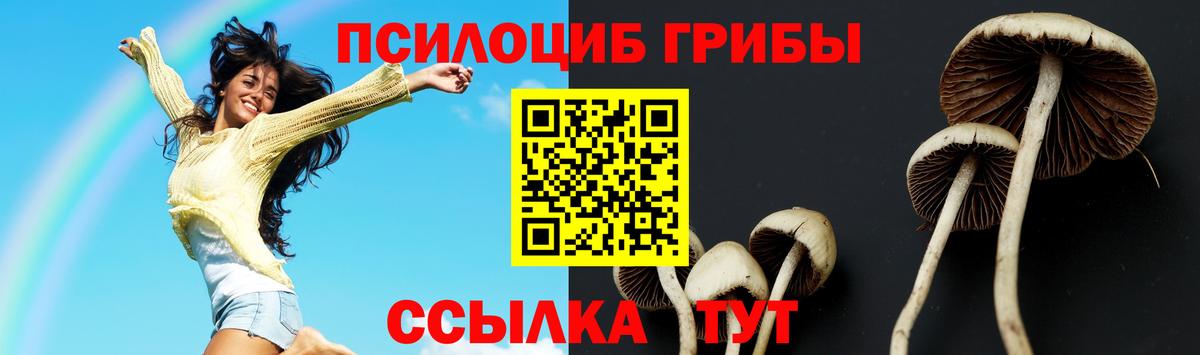 Псилоцибиновые грибы ЛСД  Вход с VPN  Светлоград  Галлюциногенные грибы Cubensis 